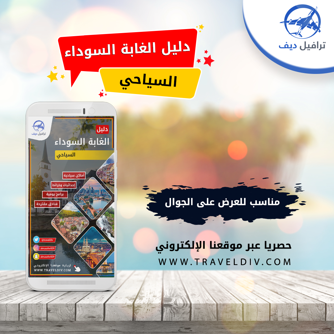 دليل الغابة السوداء