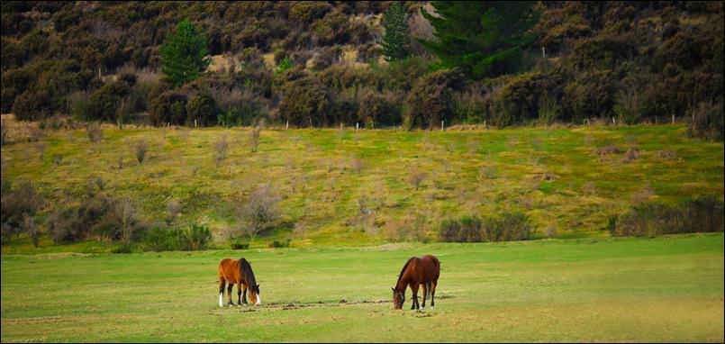 070337_0509_6 قرية جلينورتشي glenorchy في نيوزيلندا , تجربه جديده من نوعها