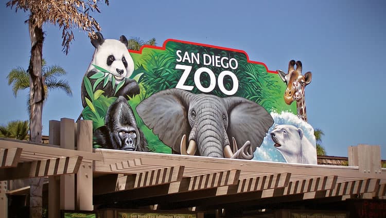 1485518685-9931-san-diego-zoo دليل السياحة في سان دييغو , فنادق و اماكن سياحية و اسواق و مطاعم بالاحداثيات .