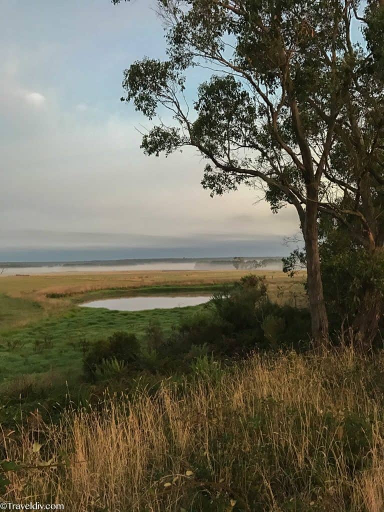 طريق Great Ocean Road ملبورن