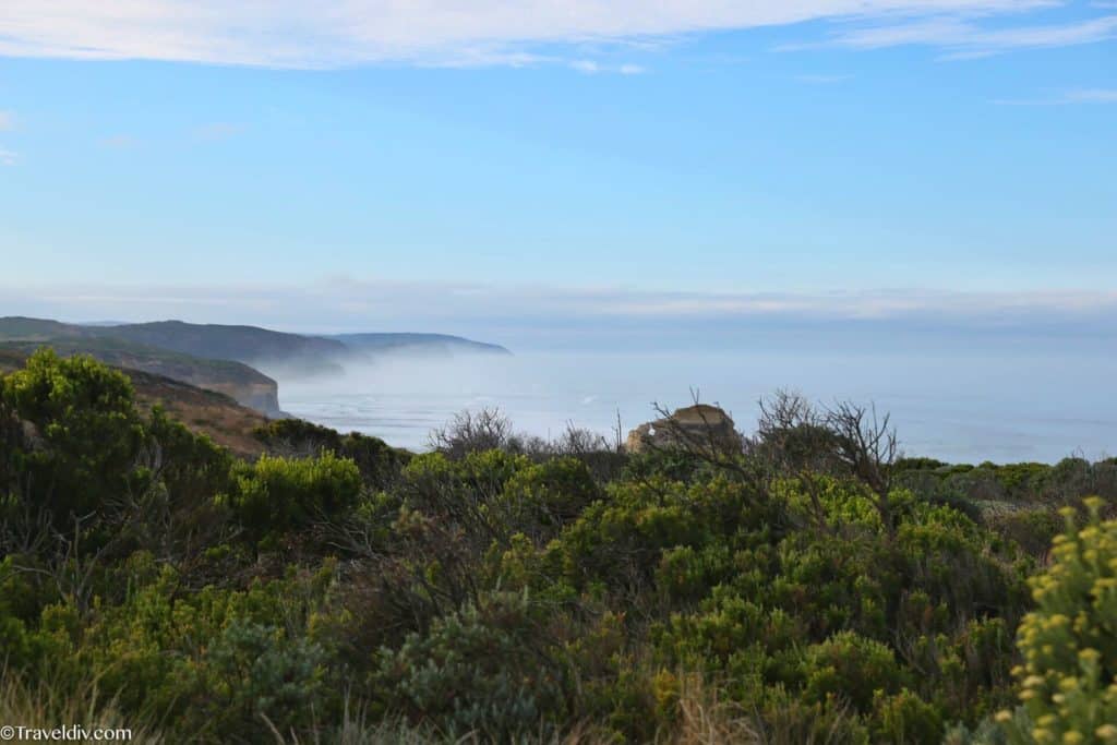 طريق Great Ocean Road ملبورن