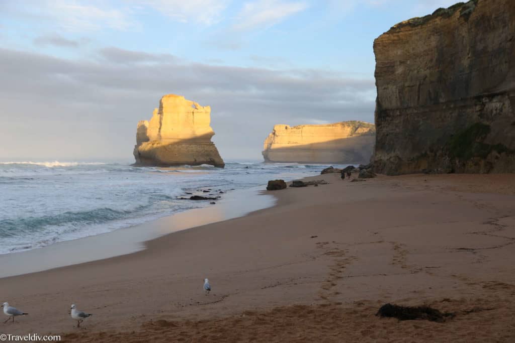 طريق Great Ocean Road ملبورن