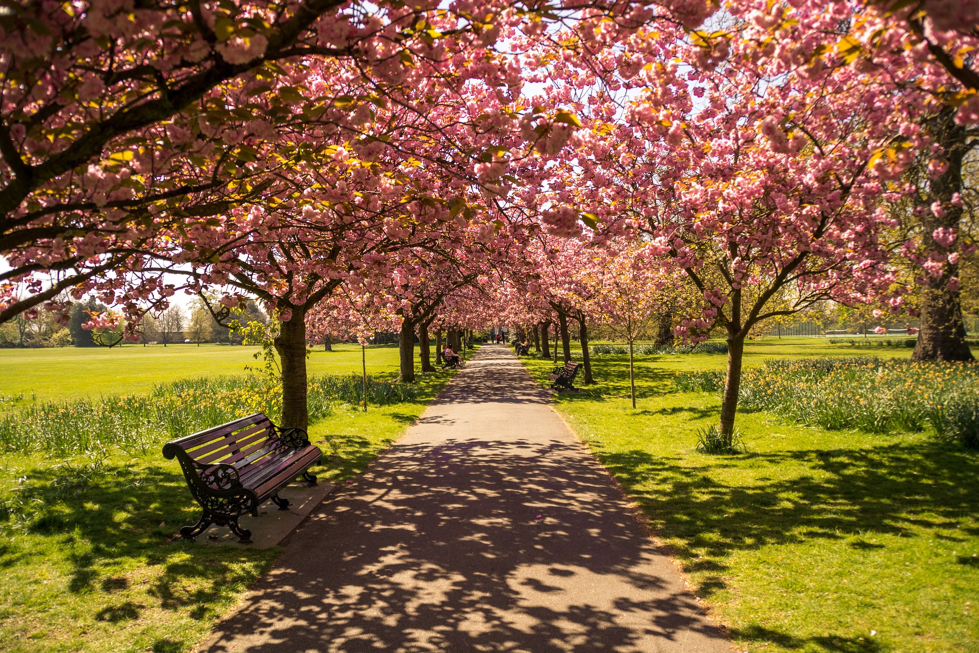 الهايد بارك Hyde Park