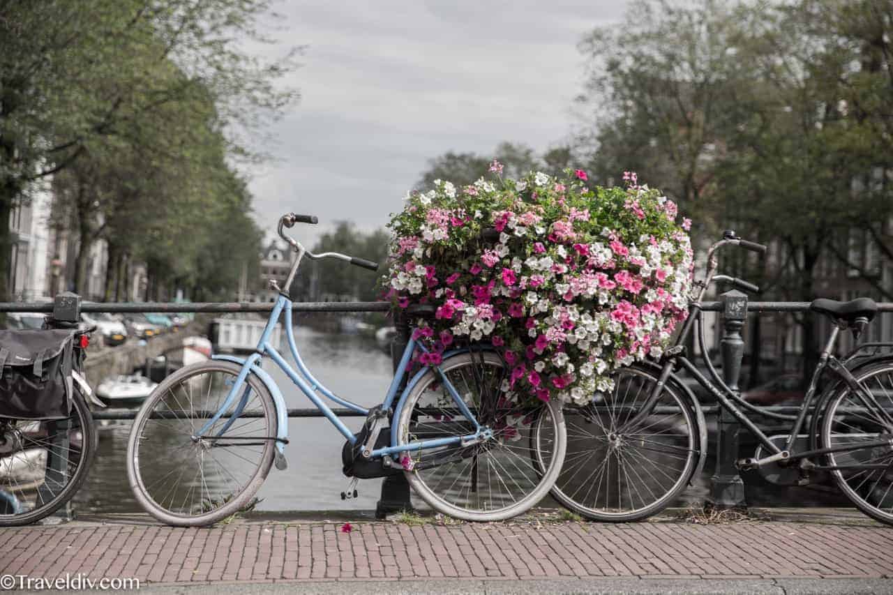 تقرير رحلتي الى امستردام مدينة الحب في هولندا مع جدول سياحي لسبعة ايام