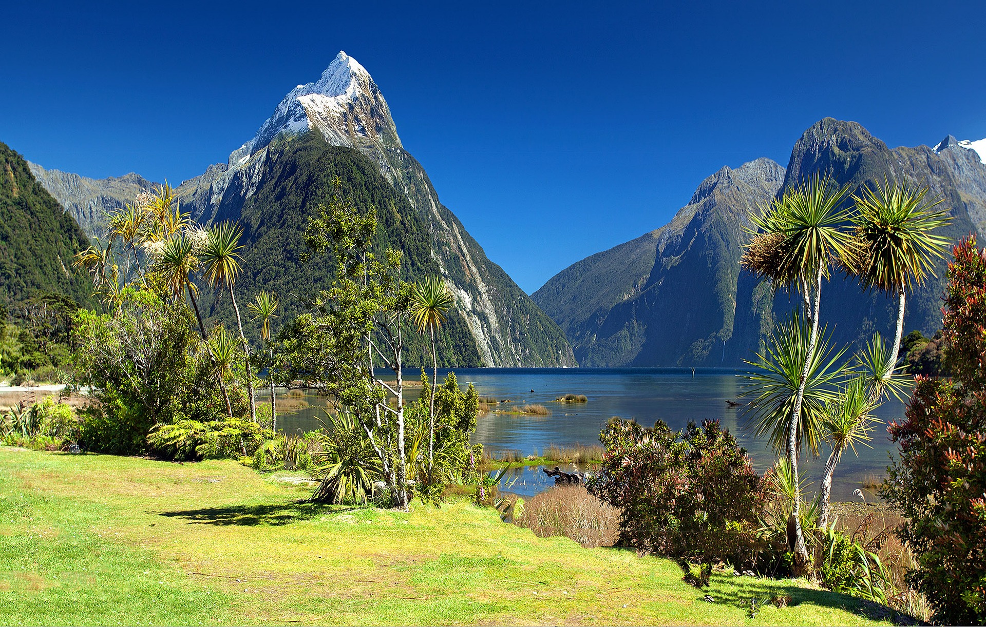 ملفورد ساوند اعجوبة كوكب الارض الطبيعية في نيوزلندا , نصائح و معلومات سياحية مهمة