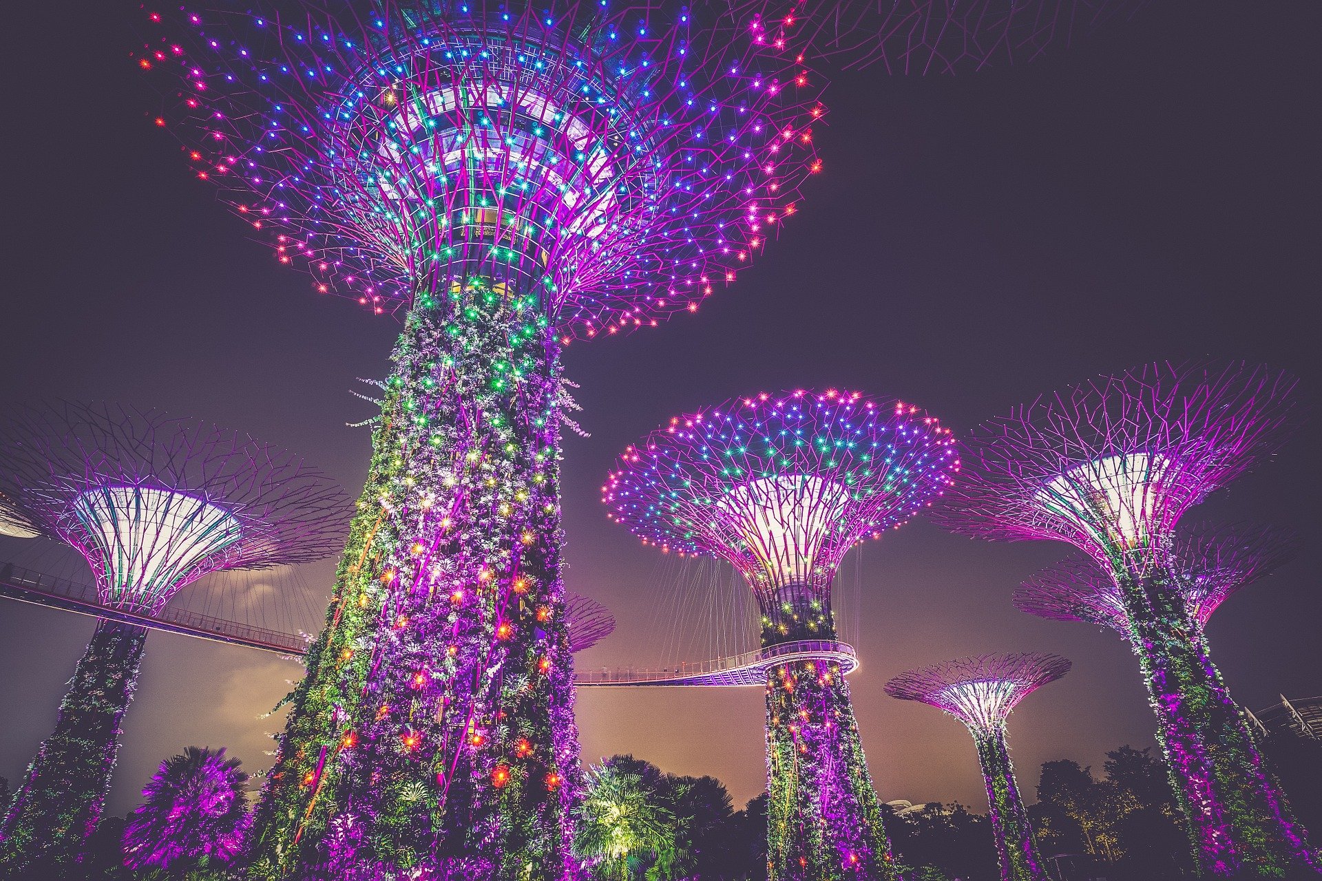 دليلك الشامل حول أفضل الأماكن السياحية في سنغافورة