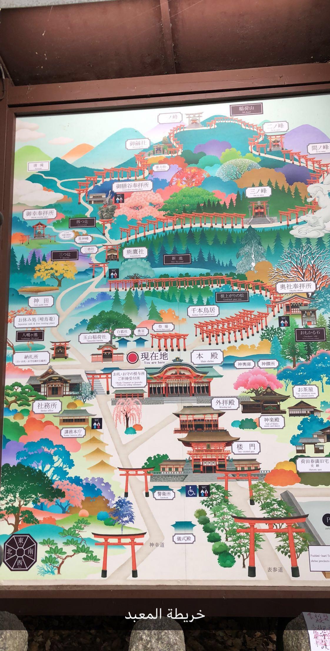 تقرير كامل عن رحلتي إلى اليابان مع جداول سياحية يومية