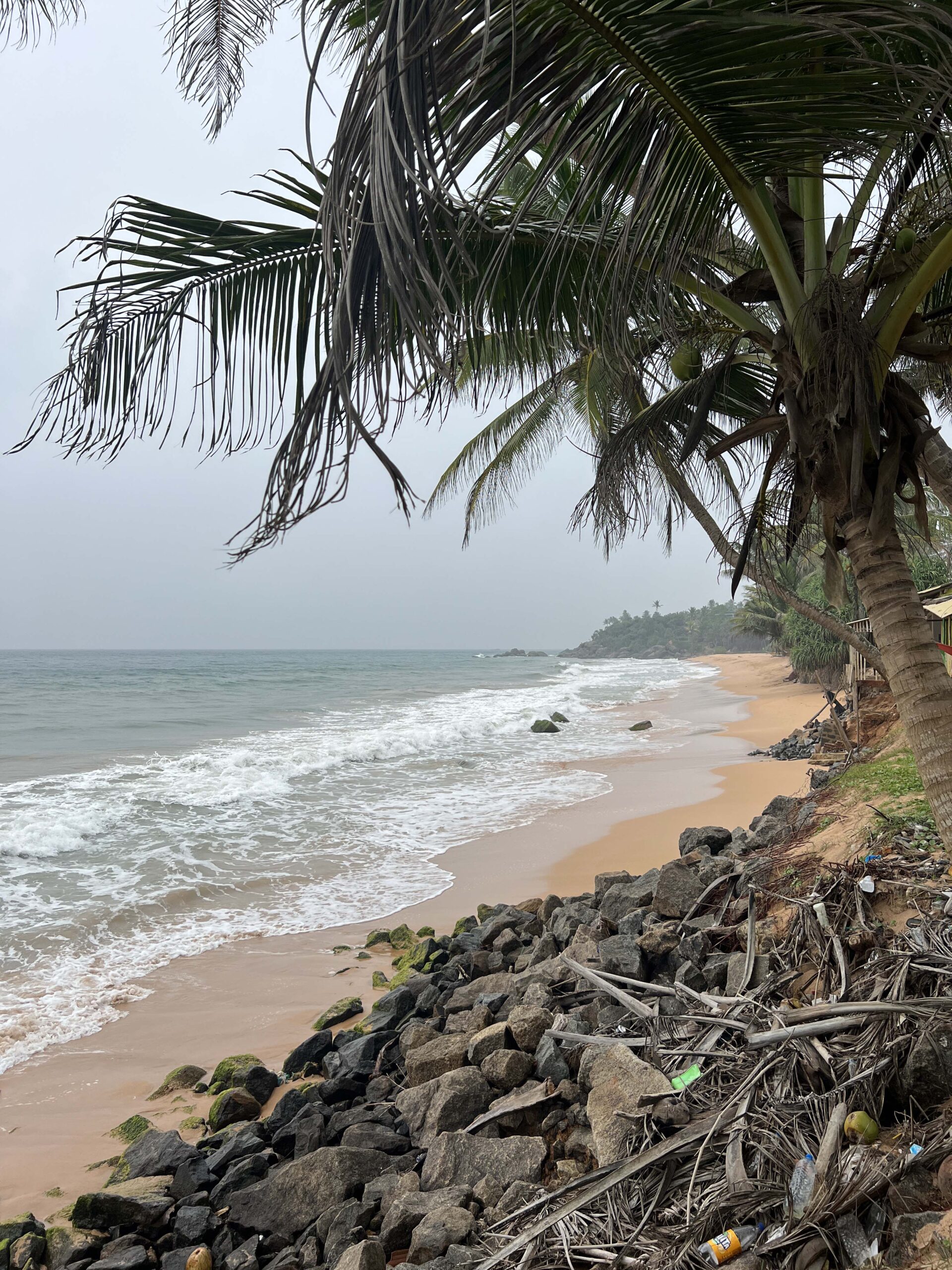 رحلتي الى سريلانكا جوهرة المحيط الهندي