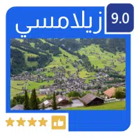 زيلامسي
